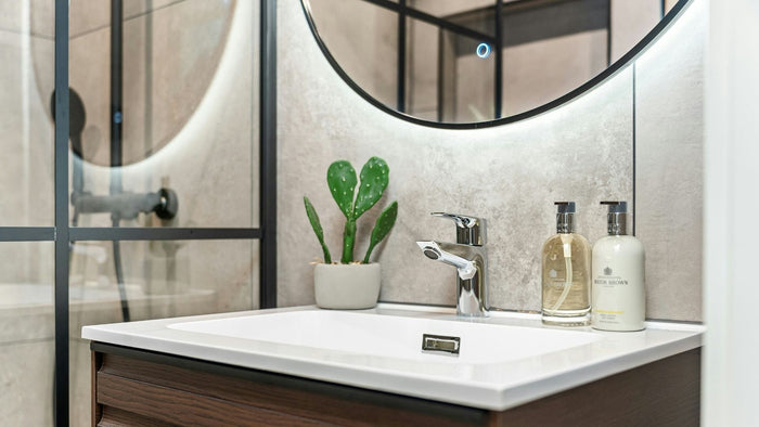 A bathroom sink with amenities and a plant including a streak-free mirror and shower glass panes
